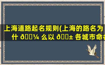 上海道路起名规则(上海的路名为什 🐼 么以 🐱 各城市命名)